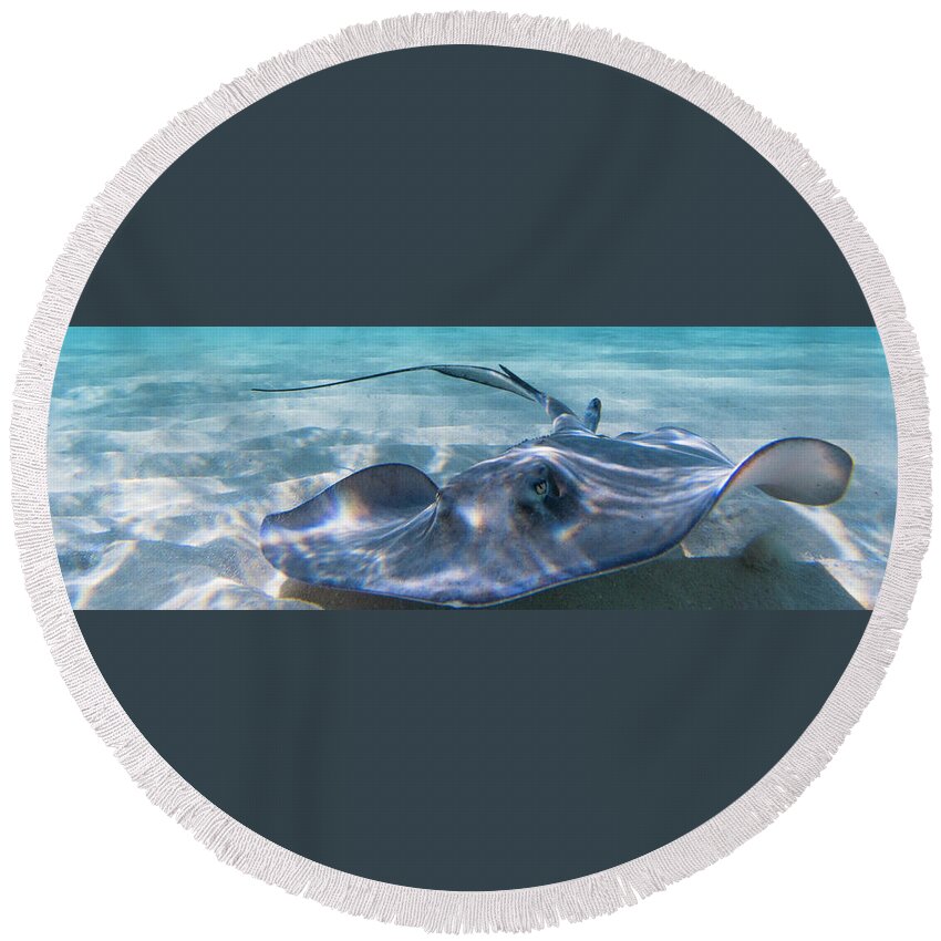 Ray Round Beach Towel featuring the photograph Reflections on a Southern Ray by Lynne Browne