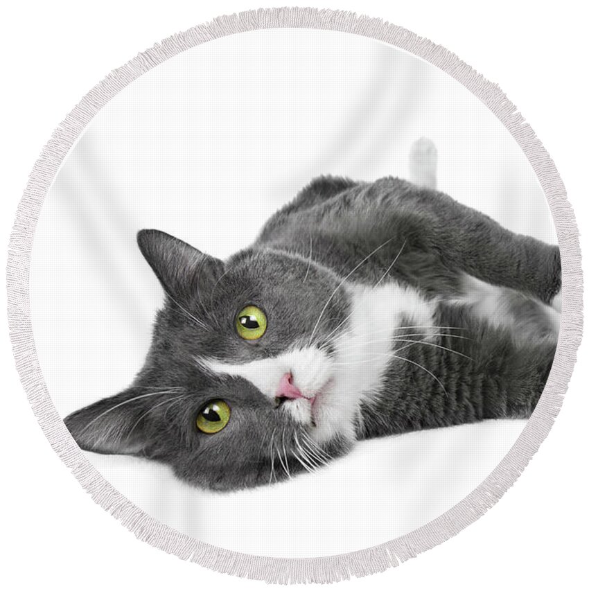 Cat Round Beach Towel featuring the photograph Relaxing Kitty Joy by Renee Spade Photography