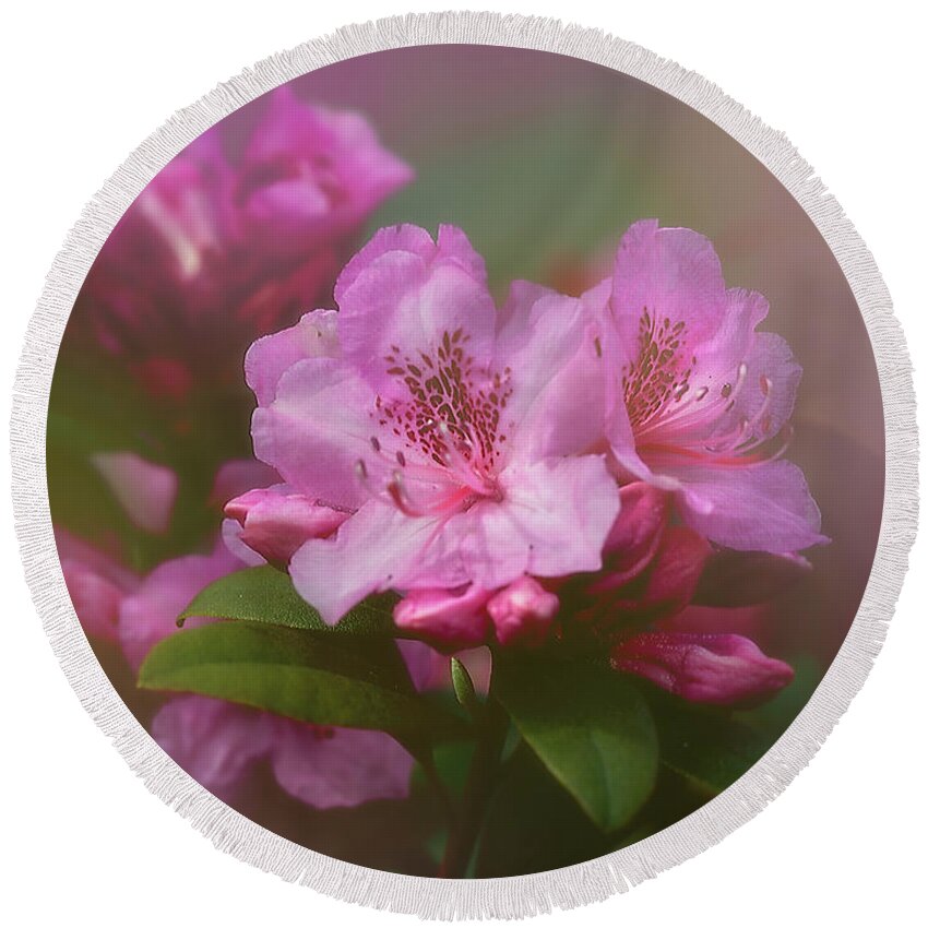 Flower Round Beach Towel featuring the photograph Rhododenddron by Ann Jacobson