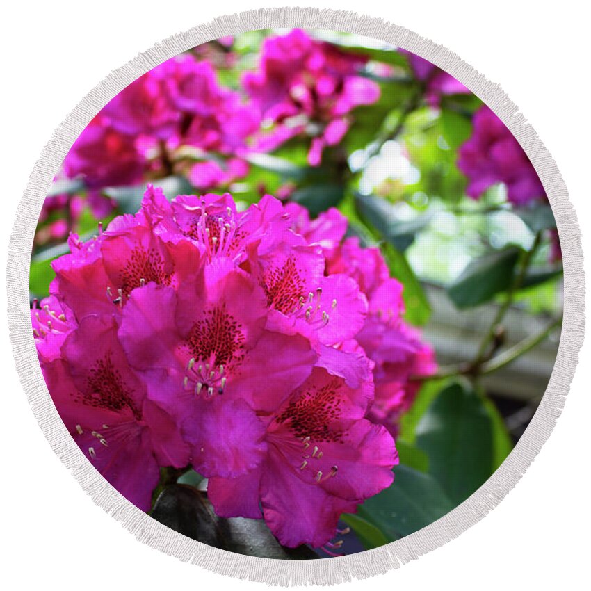 Flower Round Beach Towel featuring the photograph Rhododendron Blossom by Geoff Jewett