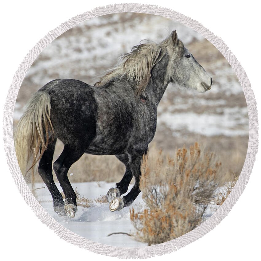 Wild Mustangs Round Beach Towel featuring the photograph Rigel on the Run by Mindy Musick King