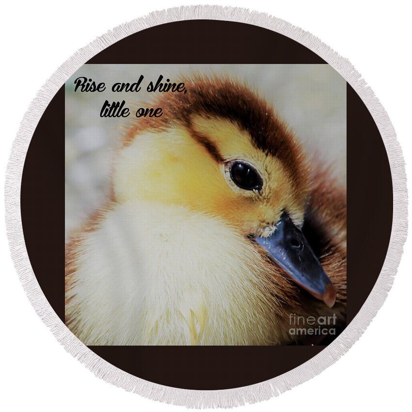 Duckling Round Beach Towel featuring the photograph Rise and shine, little one by Joanne Carey
