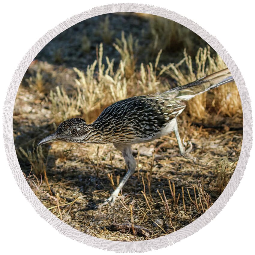 2020 Round Beach Towel featuring the photograph Roadrunner Hunting by Dawn Richards