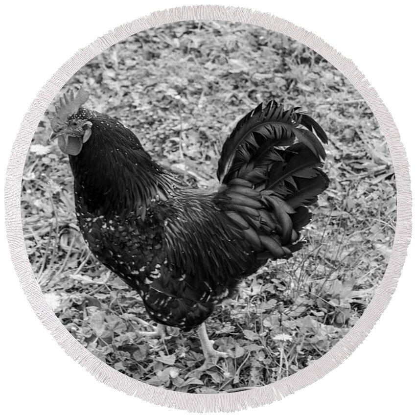 Rooster Round Beach Towel featuring the photograph Rooster BW by Cathy Anderson