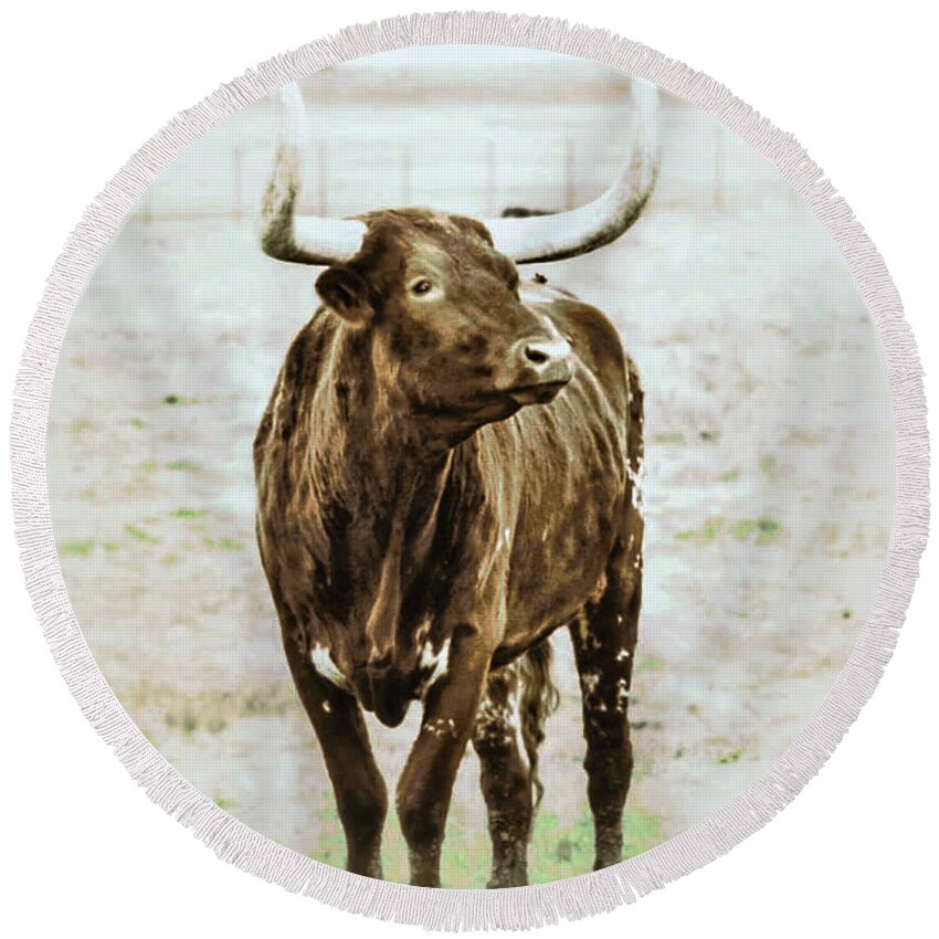 Longhorn Round Beach Towel featuring the photograph Roscoe by Toma Caul