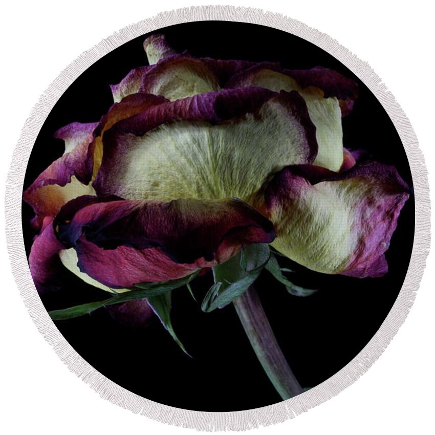 Macro Round Beach Towel featuring the photograph Rose 3092 by Julie Powell