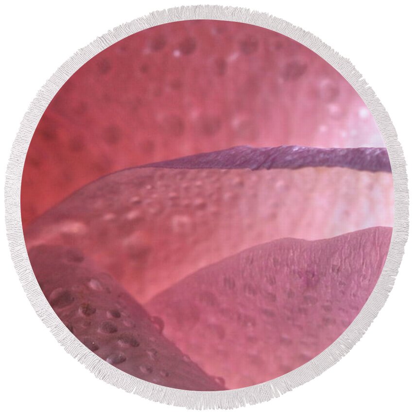 Macro Round Beach Towel featuring the photograph Rose 4069 by Julie Powell