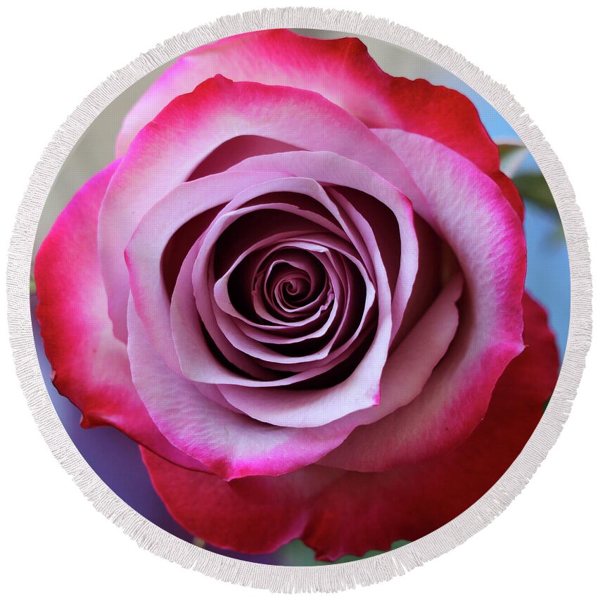 Rose Round Beach Towel featuring the photograph Rose Swirl by Mary Anne Delgado