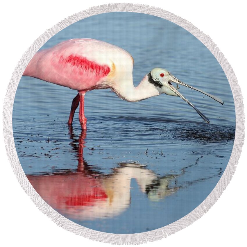 Roseate Spoonbill Round Beach Towel featuring the photograph Roseate Spoonbill 17 by Mingming Jiang