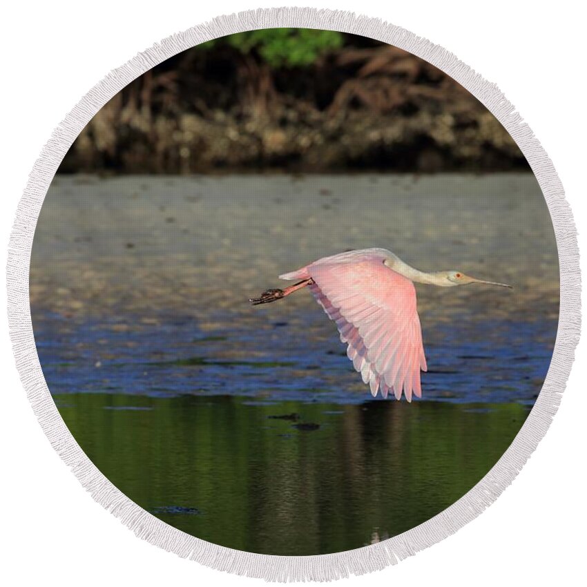 Roseate Spoonbill Round Beach Towel featuring the photograph Roseate Spoonbill in Flight by Mingming Jiang