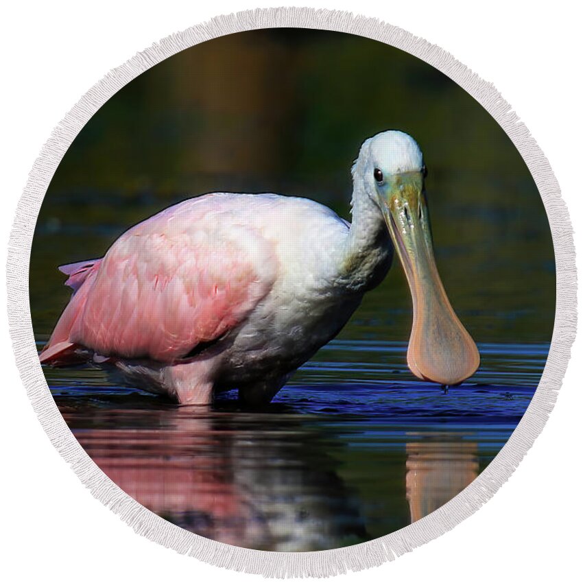 Roseate Spoonbill Round Beach Towel featuring the photograph Roseate Spoonbill by Shixing Wen