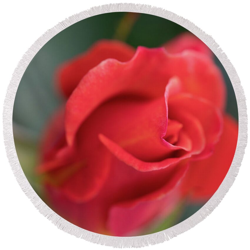 Face Mask Round Beach Towel featuring the photograph Rosebud 2 by Ryan Weddle