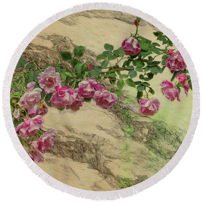 Roses Round Beach Towel featuring the photograph Roses Branching Out by Elaine Teague