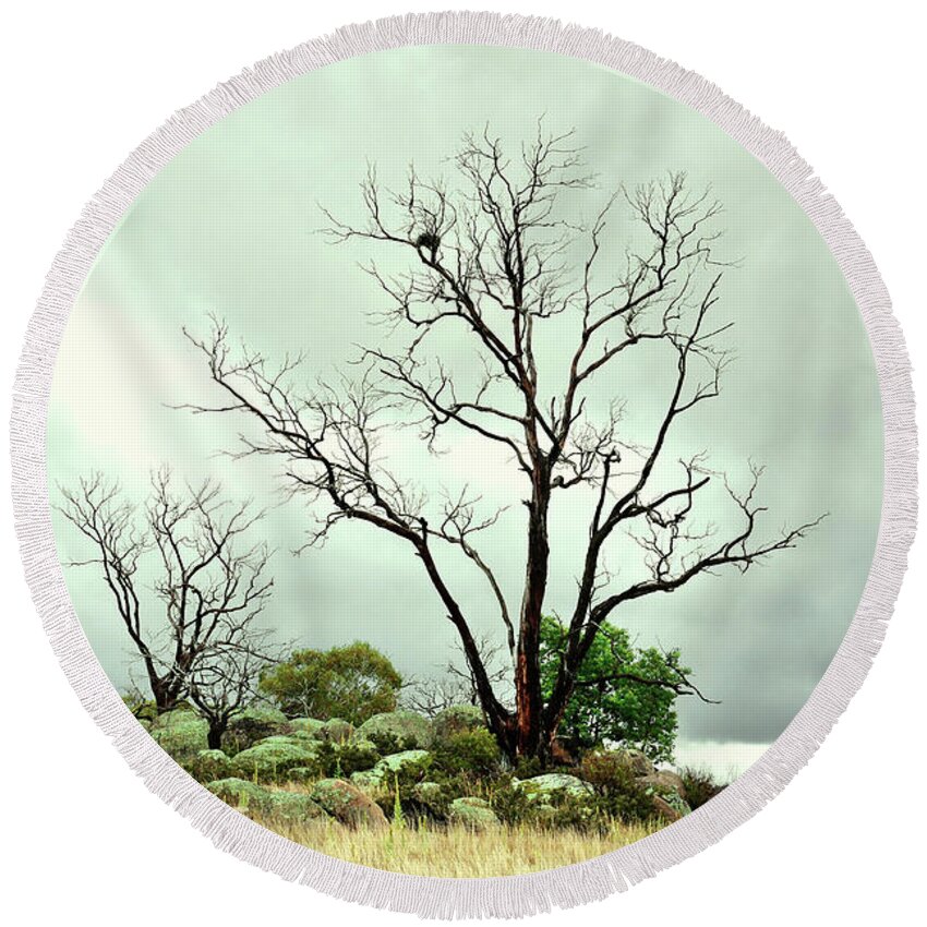 Beautiful Bare Trees Series By Lexa Harpell Round Beach Towel featuring the photograph Rural New South Wales by Lexa Harpell