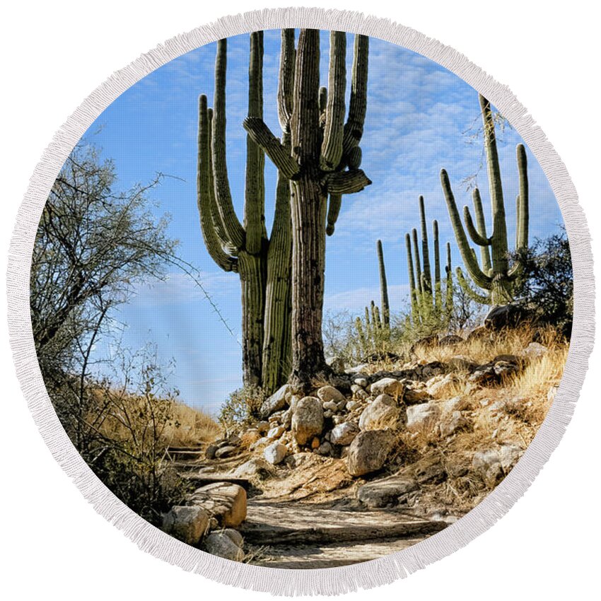 Acacia Round Beach Towel featuring the photograph Saguaro And Stairs by Al Andersen