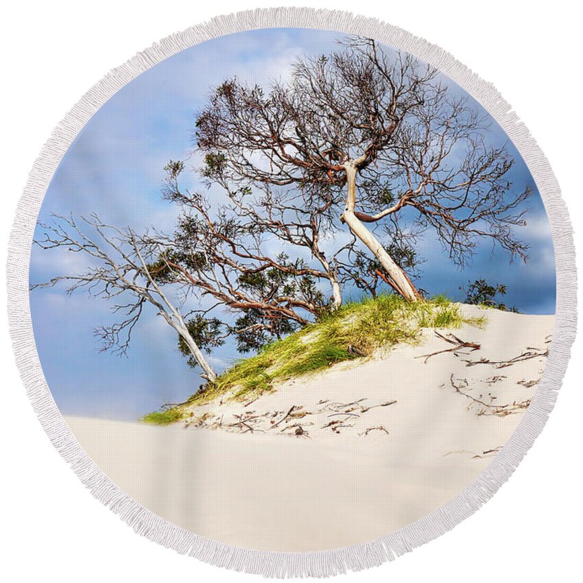 Beach Round Beach Towel featuring the photograph Sand Dunes with Bent Trees 2 by Lexa Harpell
