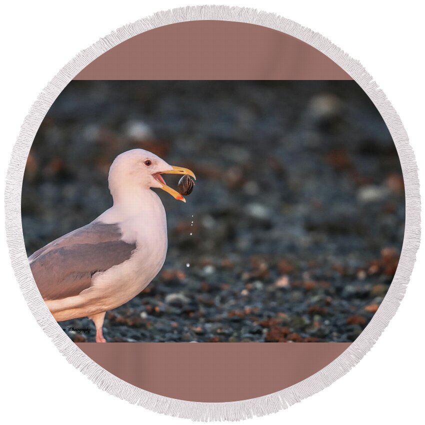 Sea Gull Round Beach Towel featuring the photograph Sea Gull and The Pebble by Tahmina Watson