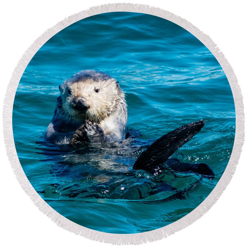 Sea Otter Round Beach Towel featuring the photograph Sea Otter Snack Time by Bonny Puckett