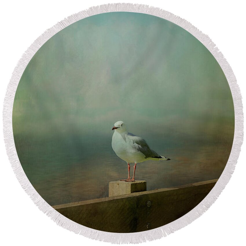 Seagull Round Beach Towel featuring the photograph Seagull on a Fence by Elaine Teague