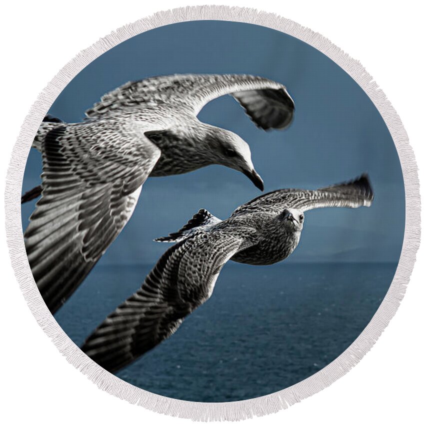 Bird Round Beach Towel featuring the photograph Seagulls Flying Formation by Andreas Berthold
