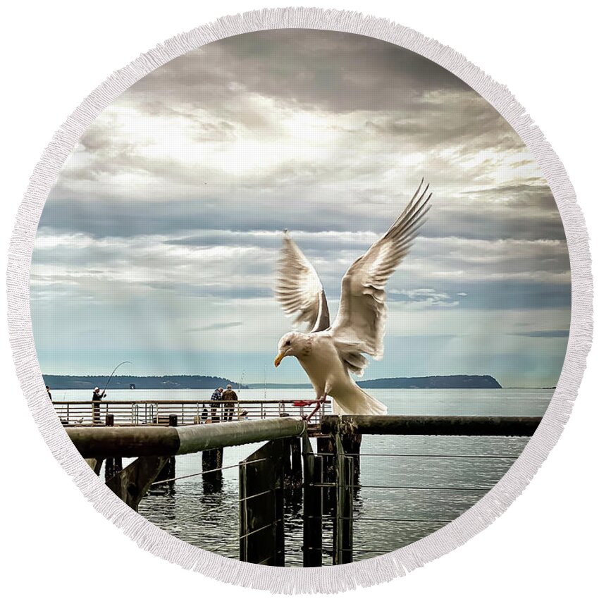 Seabird Round Beach Towel featuring the photograph Seagull's landing by Anamar Pictures