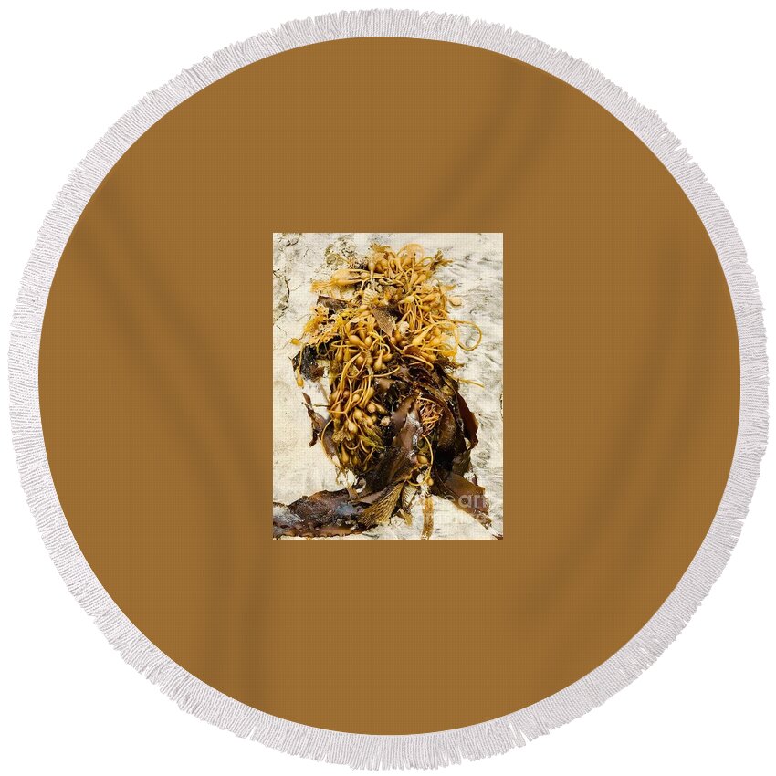 Seaweed Round Beach Towel featuring the photograph Seaweed on beach sand by Lana Sylber