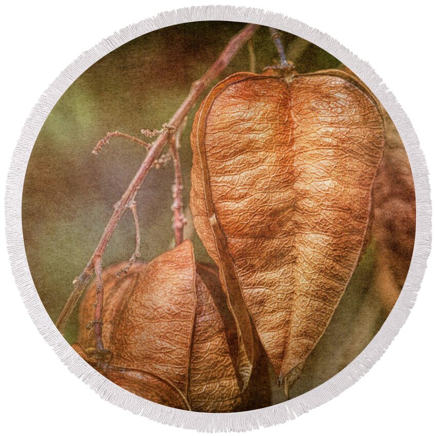 Seed Pods Round Beach Towel featuring the photograph Seed Pods on a Golden Rainfall Tree by Michael McKenney