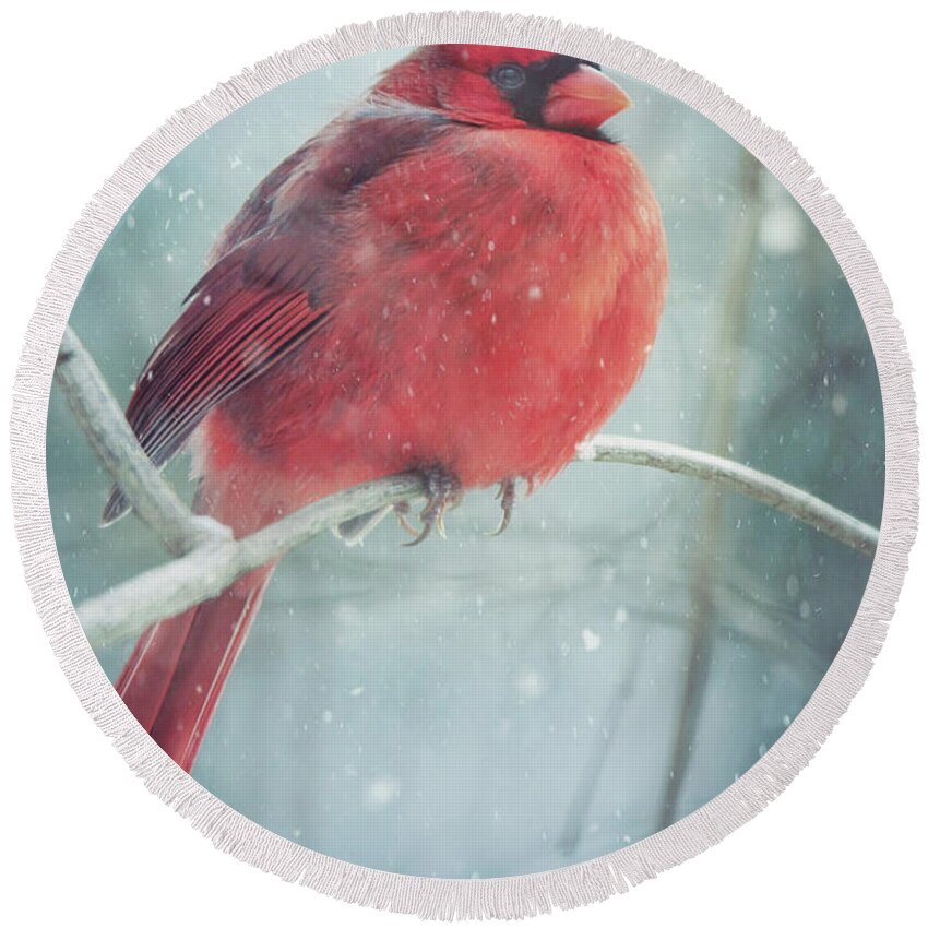 Snow Round Beach Towel featuring the photograph Seeing Red by Carrie Ann Grippo-Pike