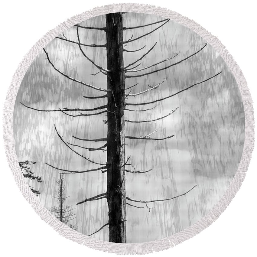 Tree Round Beach Towel featuring the digital art Sentinel by Kathy Paynter