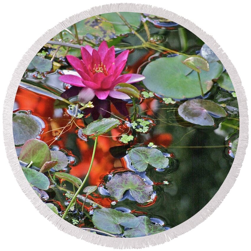 Water Lily: Water Garden Round Beach Towel featuring the photograph September Rose Water Lily 2 by Janis Senungetuk