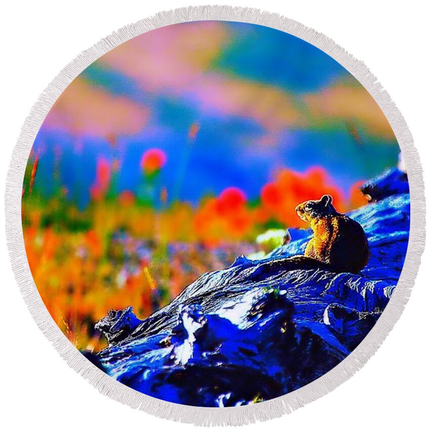 Mt. St. Helens Round Beach Towel featuring the photograph Sharing the Sunset by Steve Warnstaff