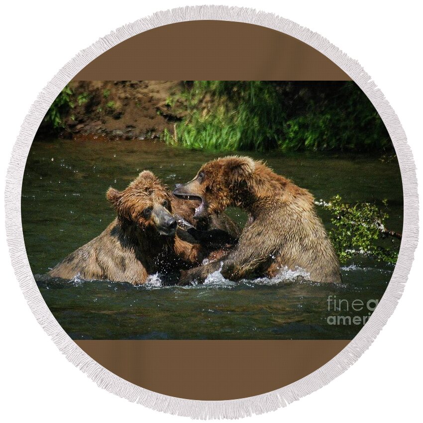 Bear Round Beach Towel featuring the photograph Sibling feud by Ed Stokes