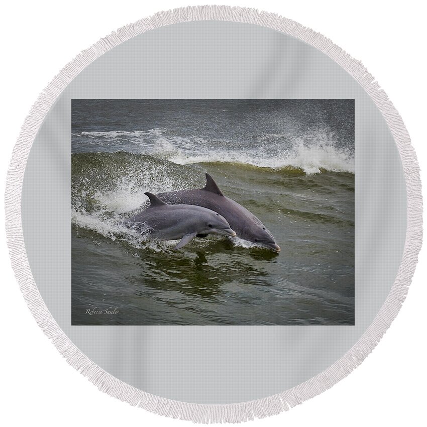 Dolphins Round Beach Towel featuring the photograph Side by Side by Rebecca Samler