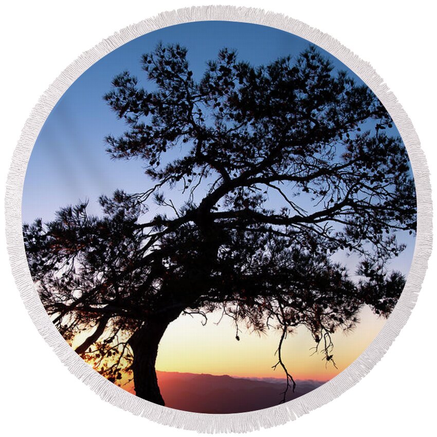 Cyprus Round Beach Towel featuring the photograph Silhouette of a forest pine tree during blue hour with bright sun at sunset. by Michalakis Ppalis