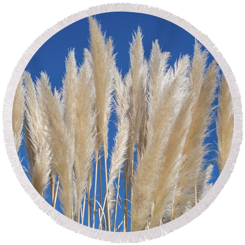 Nature Round Beach Towel featuring the photograph Silky Pampas Grass by Abigail Diane Photography