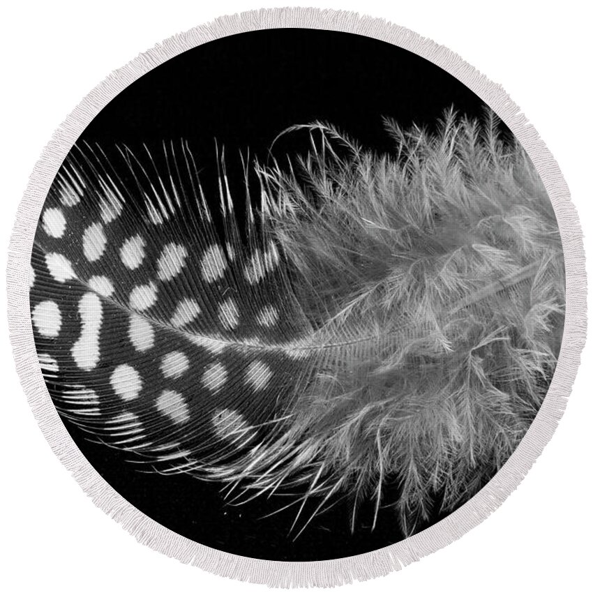  Feather Round Beach Towel featuring the photograph Simple Elegance by Catherine Avilez