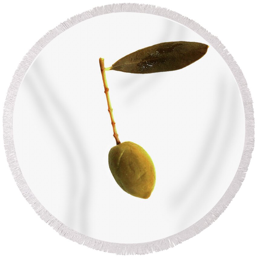 Green Olive Round Beach Towel featuring the photograph Single Green Olive Isolated on white with a single leaf square by Pete Klinger