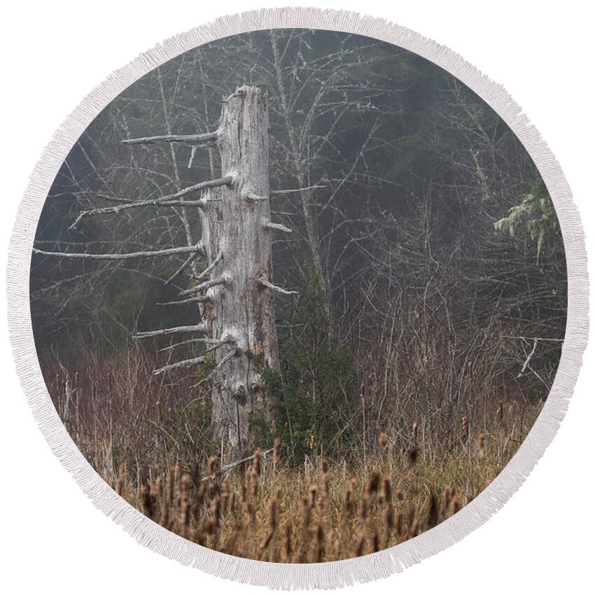 Astoria Round Beach Towel featuring the photograph Sitka Spruce Snags by Robert Potts