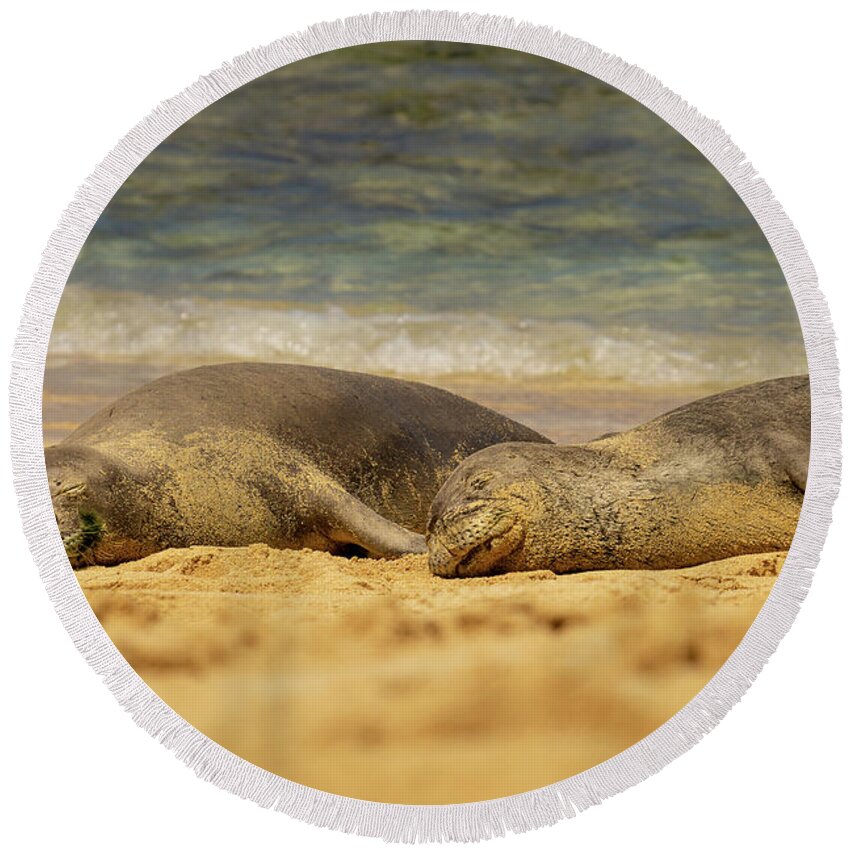 Animal Round Beach Towel featuring the photograph Sleeping Hawaiian Monk Seals by Nancy Gleason