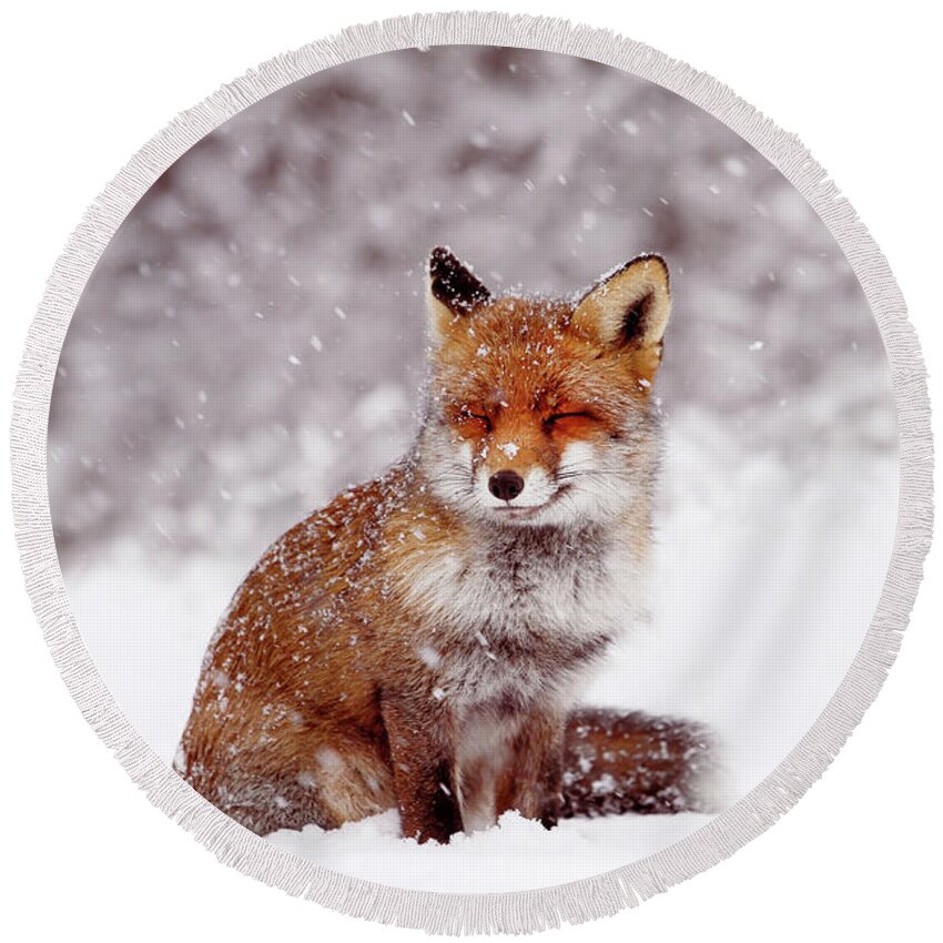 Fox Round Beach Towel featuring the photograph Smiling Fox in a Snow Storm by Roeselien Raimond