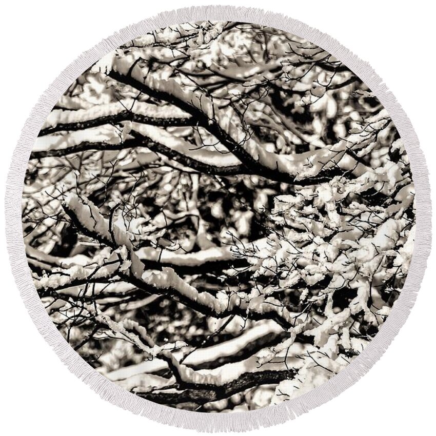 Snow Branch Tree B&w Round Beach Towel featuring the photograph Snow Branch by John Linnemeyer