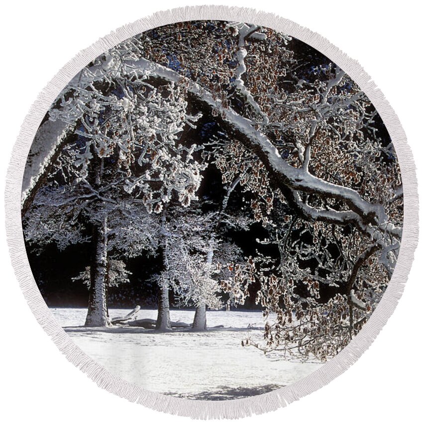 Black Oak Round Beach Towel featuring the photograph Snow Covered Black Oak Yosemite National Park by Dave Welling