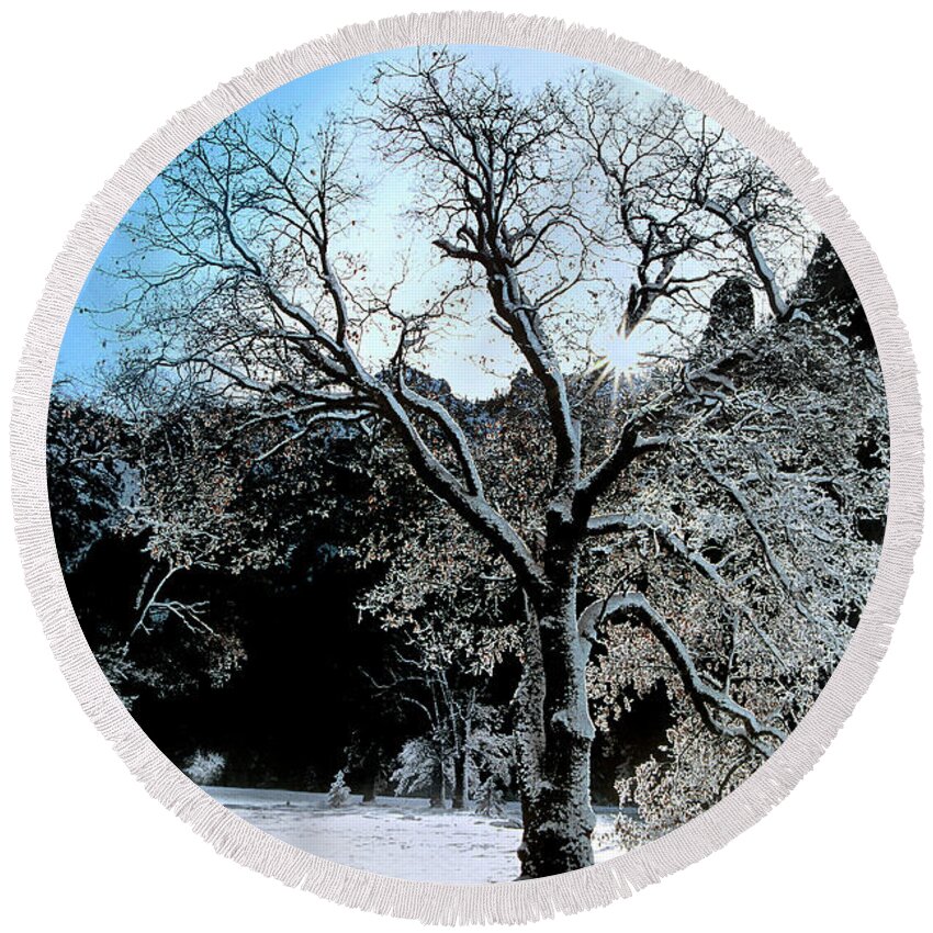 Dave Welling Round Beach Towel featuring the photograph Snow Covered Black Oaks Quercus Kelloggii Yosemite by Dave Welling