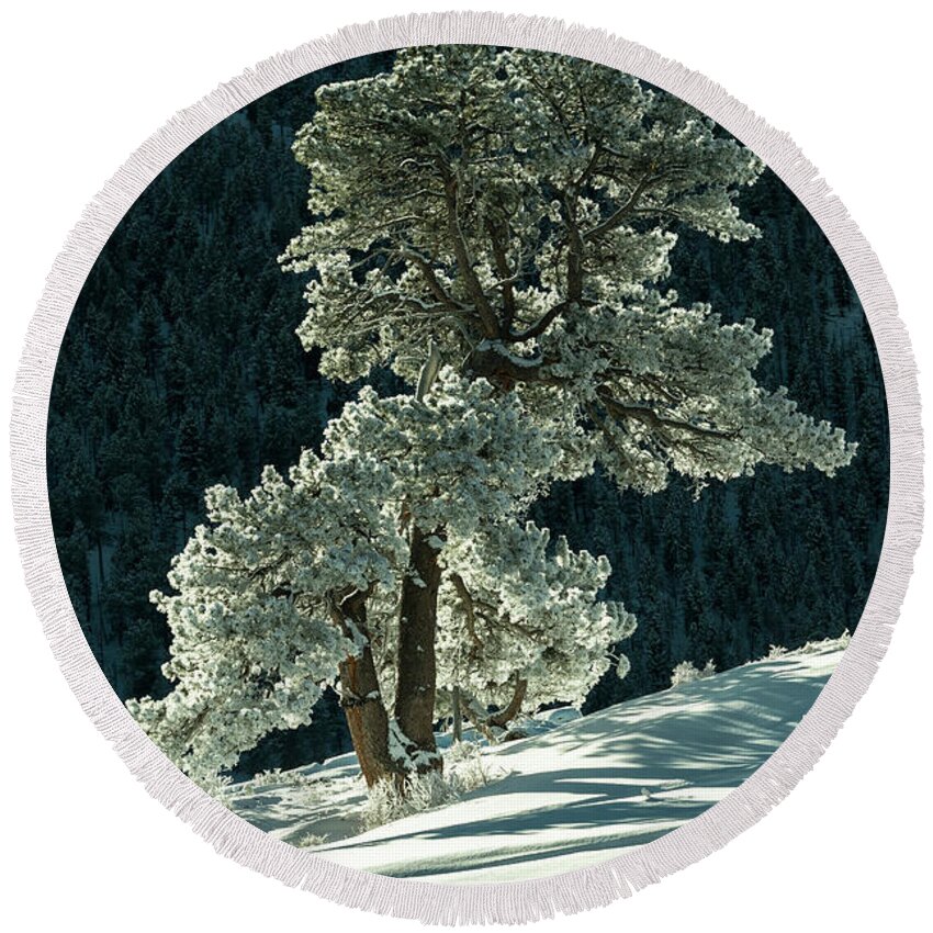 Colorado Round Beach Towel featuring the photograph Snow covered tree - 9182 by Jerry Owens