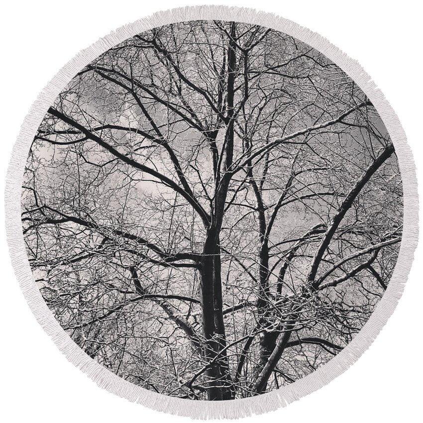 Snow Round Beach Towel featuring the photograph Snowcovered Branches - Monochrome by Lisa Pearlman