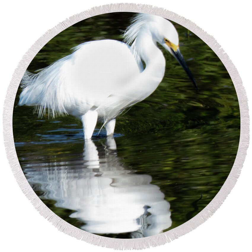 Bird Round Beach Towel featuring the photograph Snowy Egret and His Reflection by George Harth