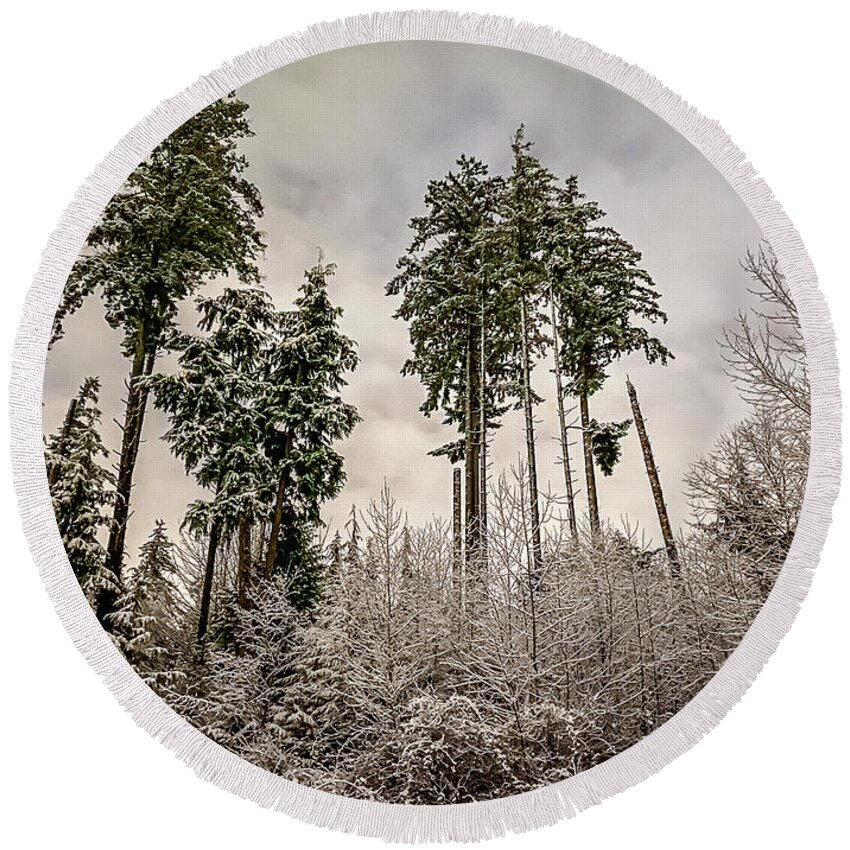 Forest Round Beach Towel featuring the photograph Snowy Forest by Anamar Pictures