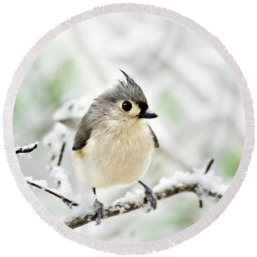 Bird Round Beach Towel featuring the mixed media Snowy Tufted Titmouse by Christina Rollo