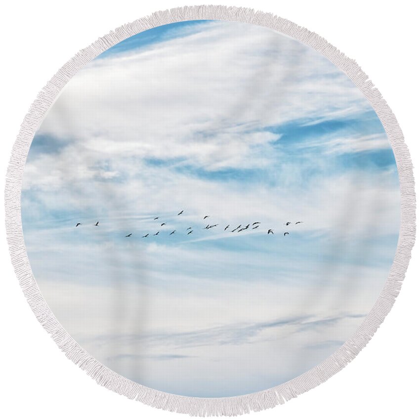 Anita Oakley Round Beach Towel featuring the photograph Soaring Towards Your Destiny by Anita Oakley