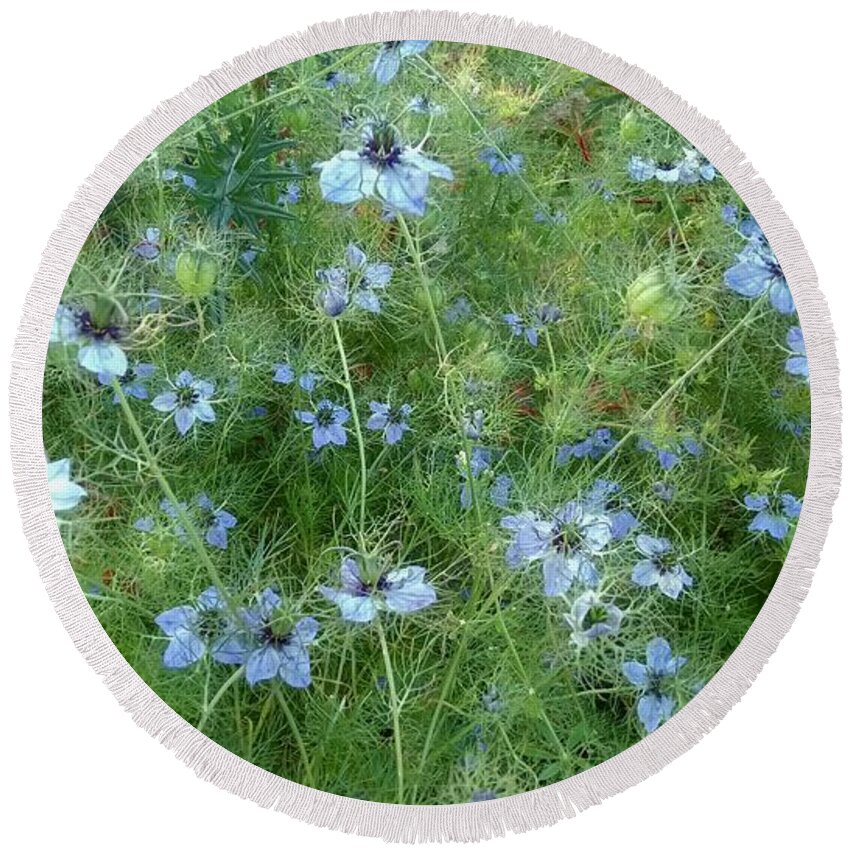 Flowers Round Beach Towel featuring the photograph Soft and Blue by Kimberly Furey